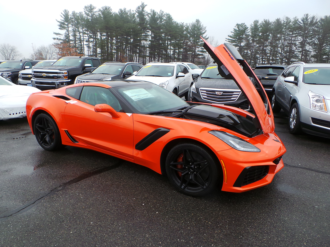 The Beast Has Landed 2019 Corvette ZR1 Arrives at MacMulkin Chevrolet